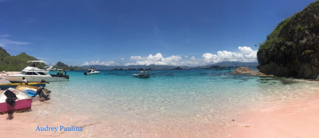 Wisata Pink Beach Taman Nasional Komodo