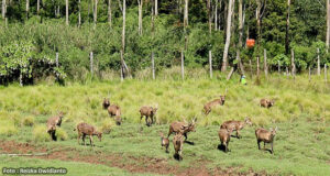 Wisata Kampung Cai Ranca Upas Bandung