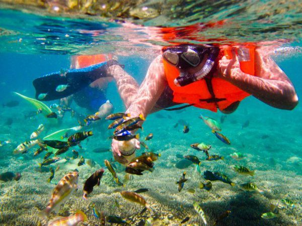 Wisata Snorkeling Jawa Timur Pantai 3 Warna