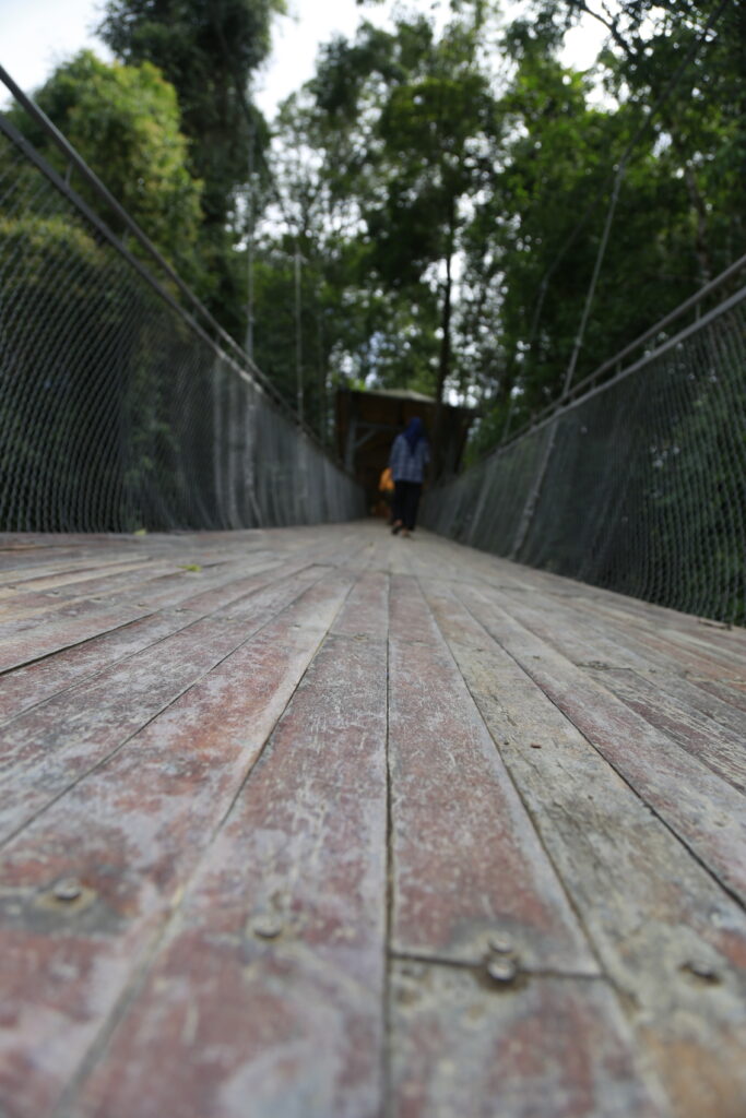 Liburan Singkat Wisata Alam di Situ Gunung Suspension Bridge 