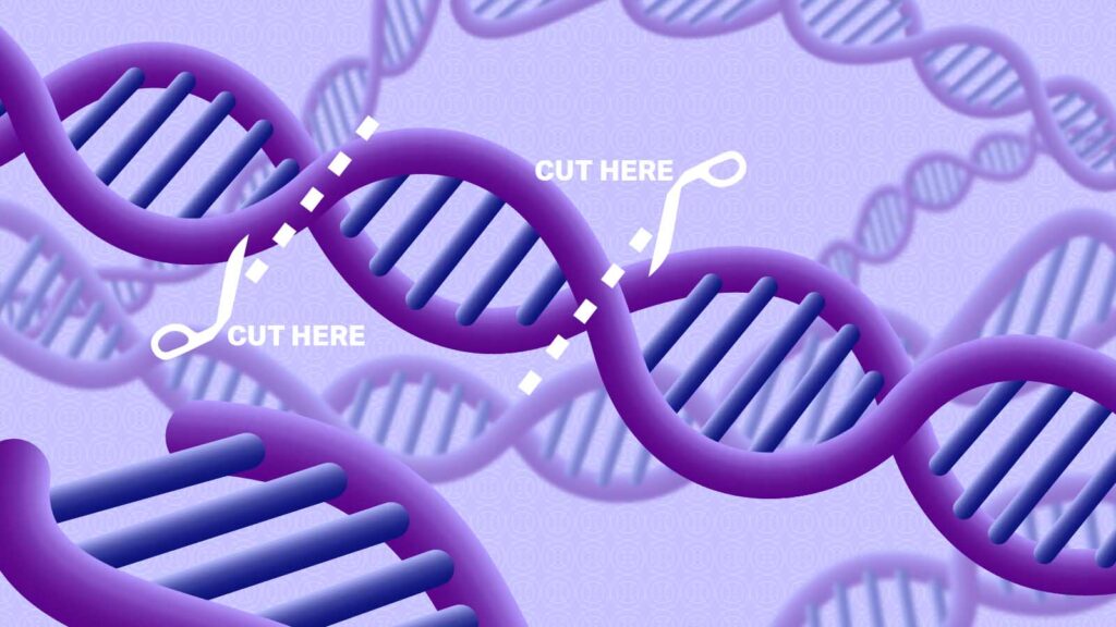 Gene Editing-CRISPR/Cas9