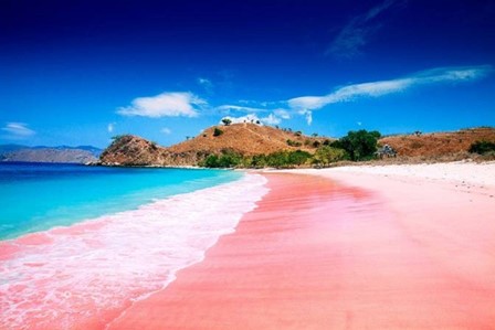 Pink Beach atau Pantai Tangsi