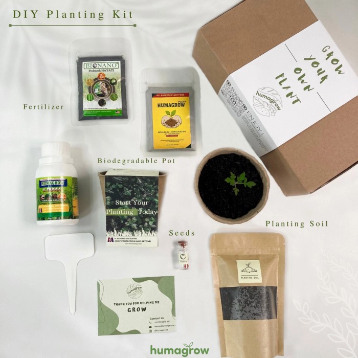 hadiah natal planting kit atau garden kit