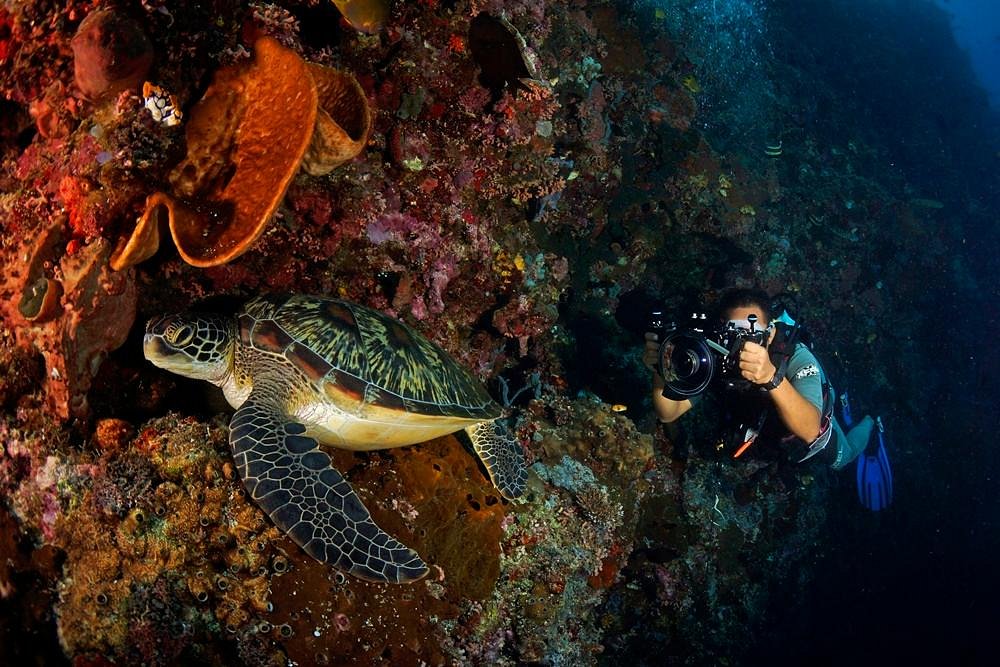 Objek Wisata Alam Di Indonesia Pulau Bunaken