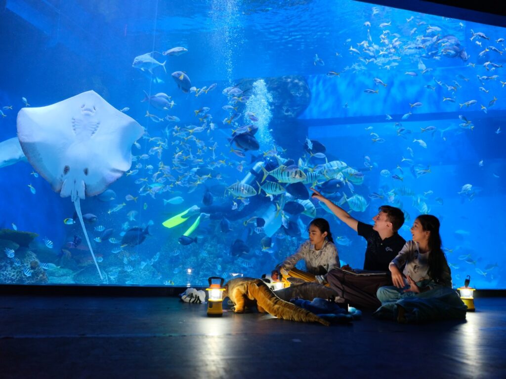 Jakarta Aquarium Safari Neo Soho