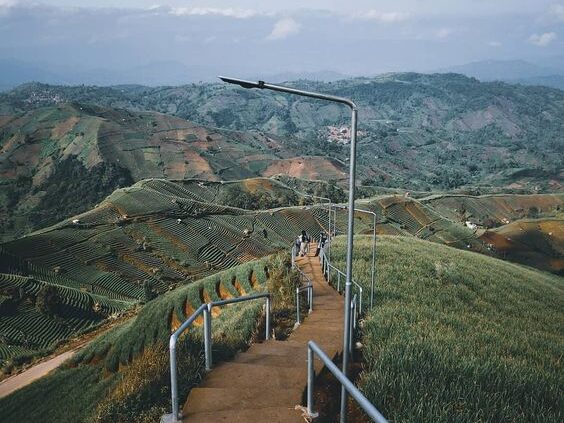 Tempat Wisata Alam Majalengka Terasering Panyaweuyan