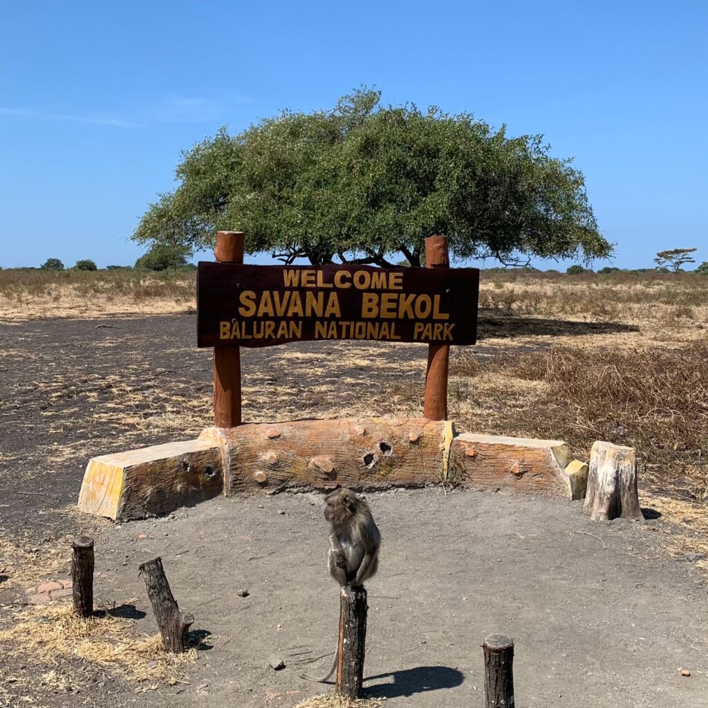 Taman Nasional Baluran