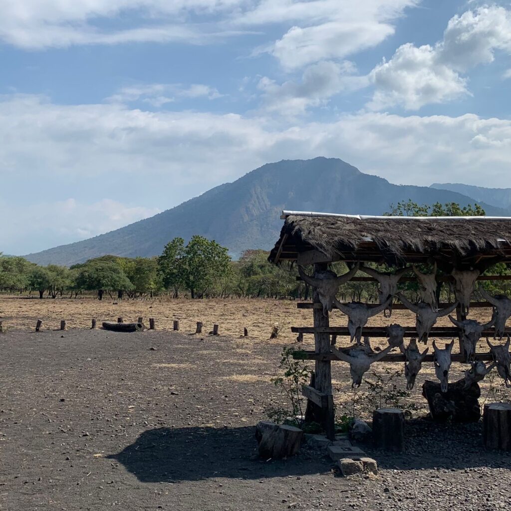 Taman Nasional Baluran