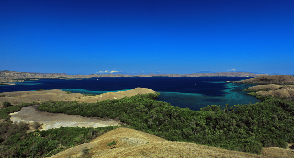 Pemandangan alam Pulau Rinca dengan bukit hijau dan vegetasi yang rimbun, menciptakan suasana alami yang tenang. 