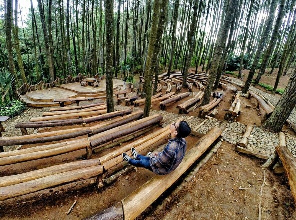 Hutan pinus, bantul, jogja